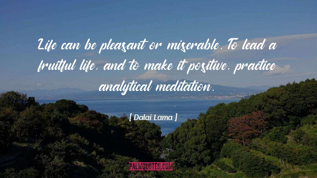 Meditation Practice quotes by Dalai Lama