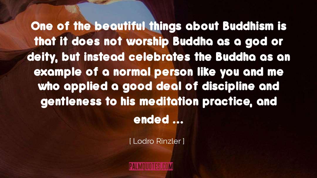 Meditation Practice quotes by Lodro Rinzler