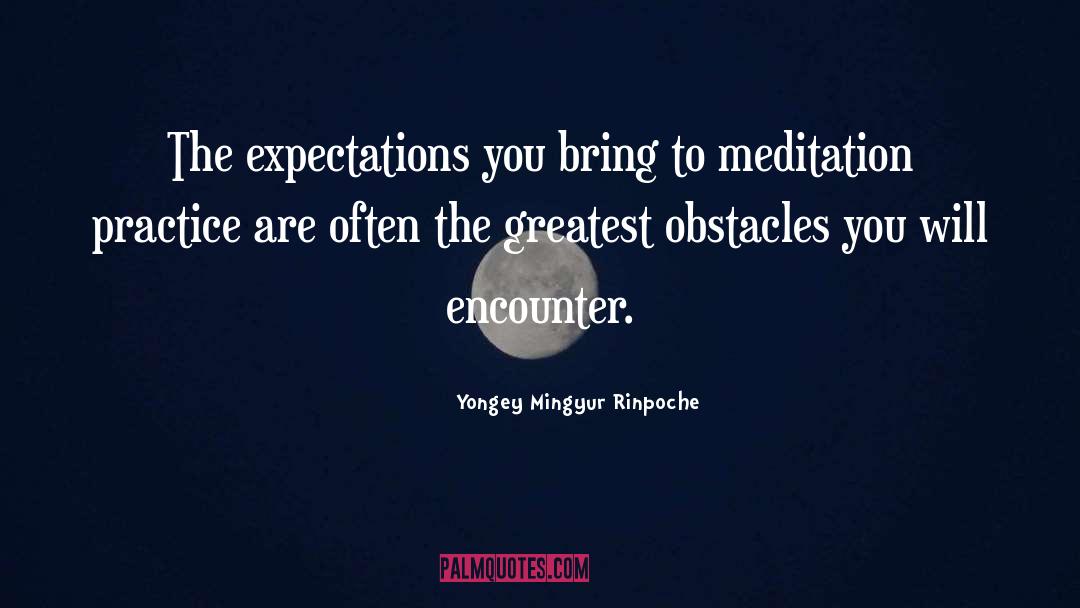 Meditation Practice quotes by Yongey Mingyur Rinpoche