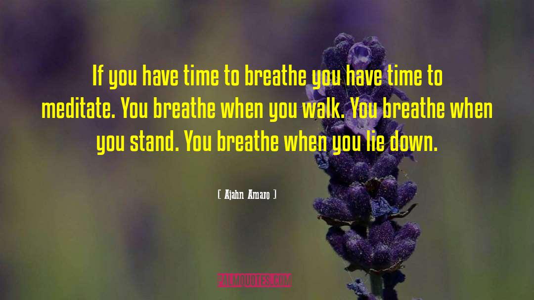 Meditation Practice quotes by Ajahn Amaro