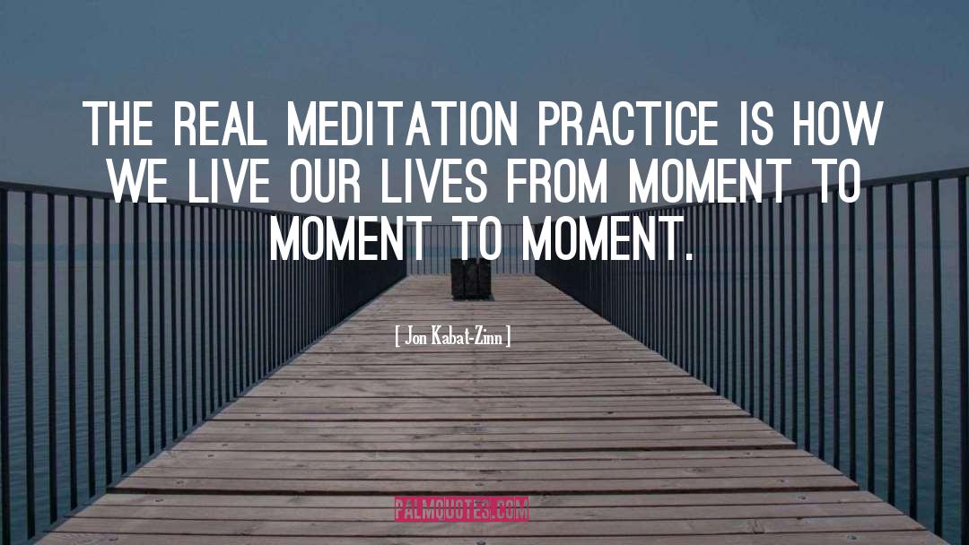 Meditation Practice quotes by Jon Kabat-Zinn