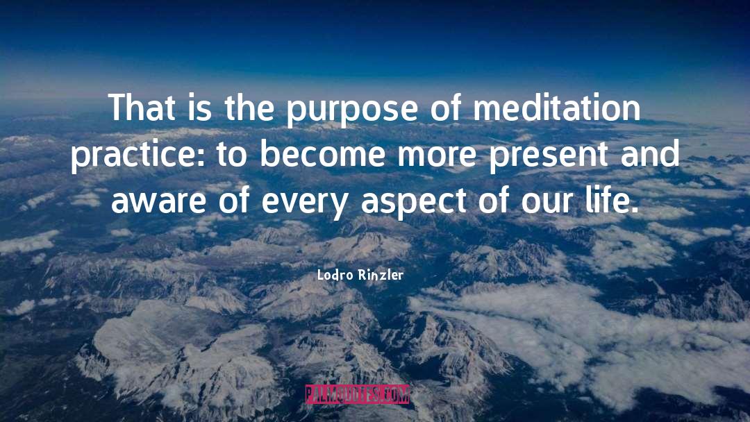 Meditation Practice quotes by Lodro Rinzler