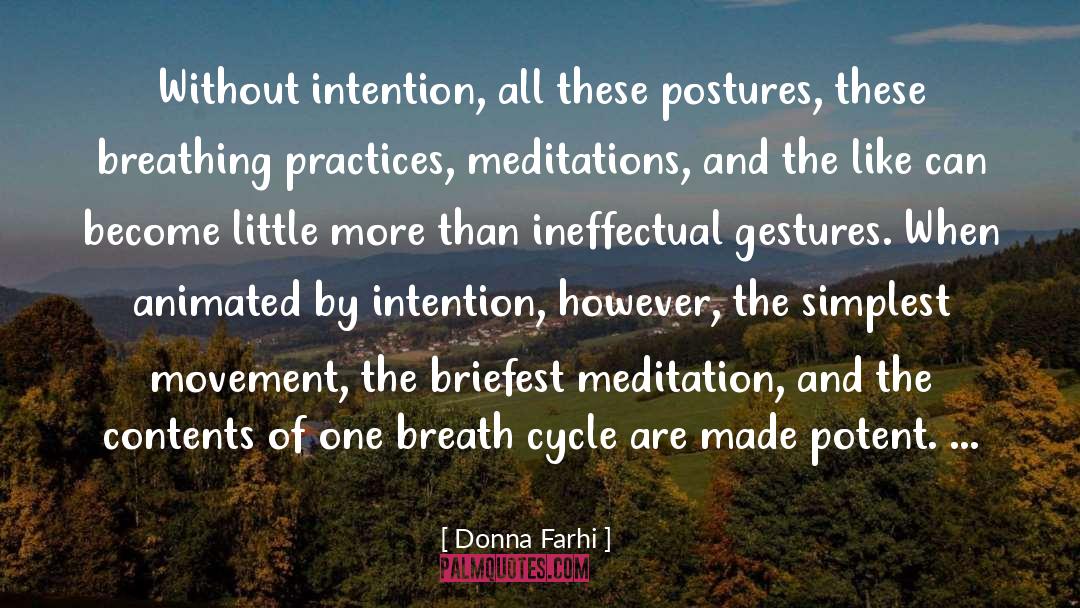 Meditation quotes by Donna Farhi