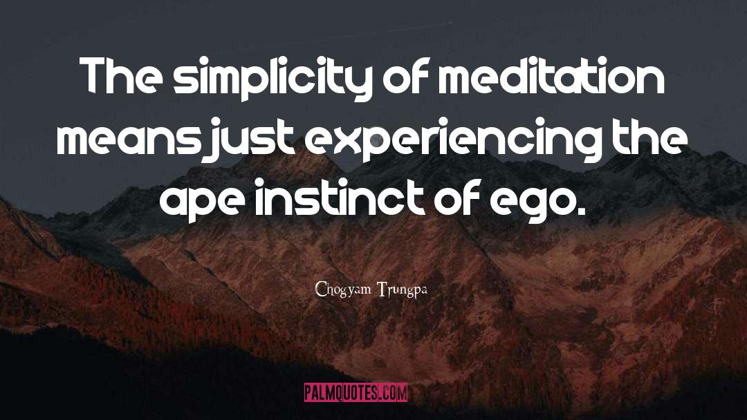 Meditation quotes by Chogyam Trungpa