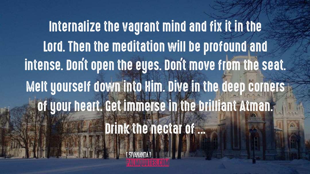 Meditation quotes by Sivananda