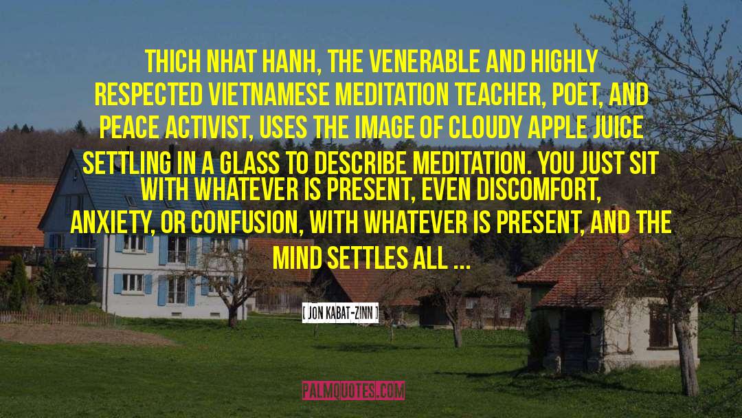 Meditation Teacher quotes by Jon Kabat-Zinn