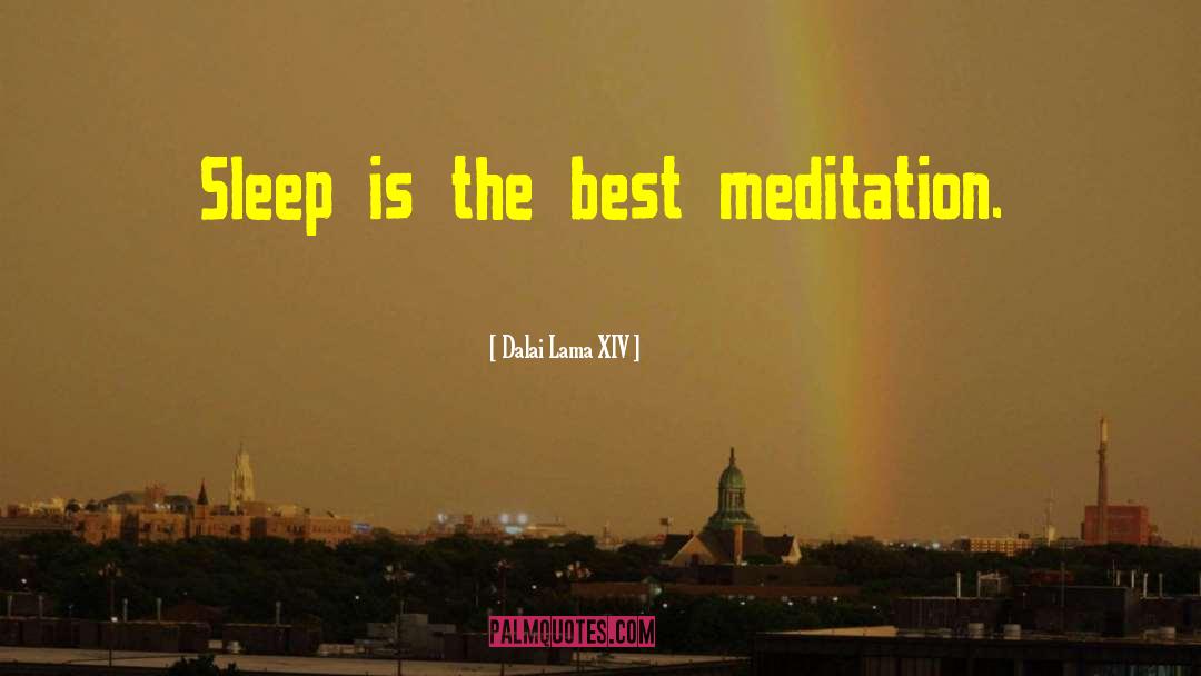 Meditation Teacher quotes by Dalai Lama XIV