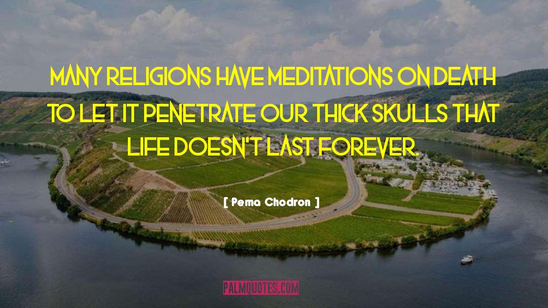 Meditations quotes by Pema Chodron