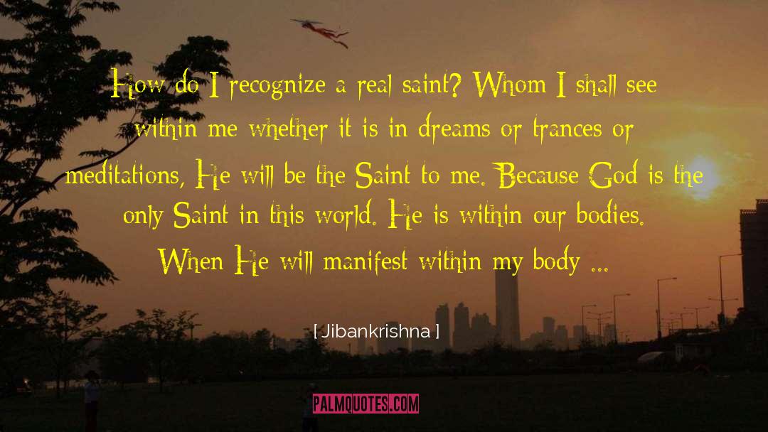 Meditations quotes by Jibankrishna