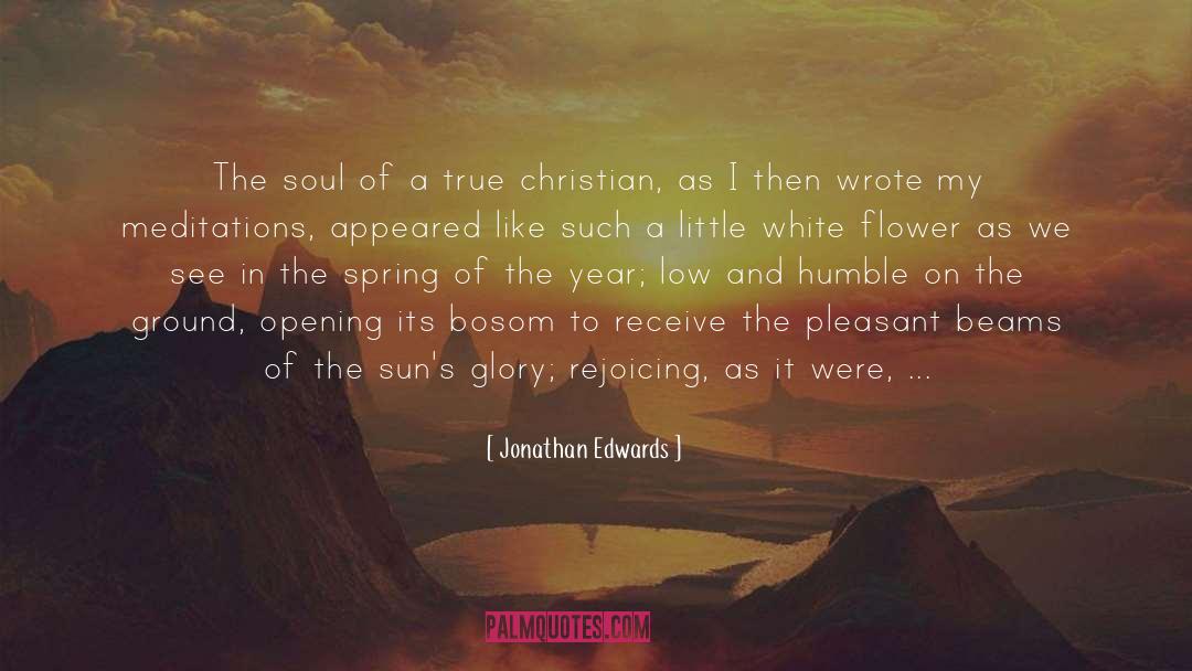 Meditations quotes by Jonathan Edwards
