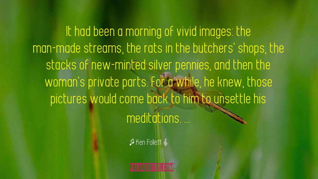 Meditations quotes by Ken Follett
