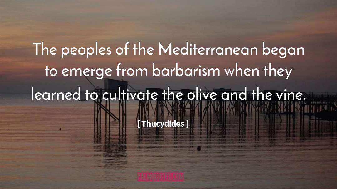 Mediterranean quotes by Thucydides