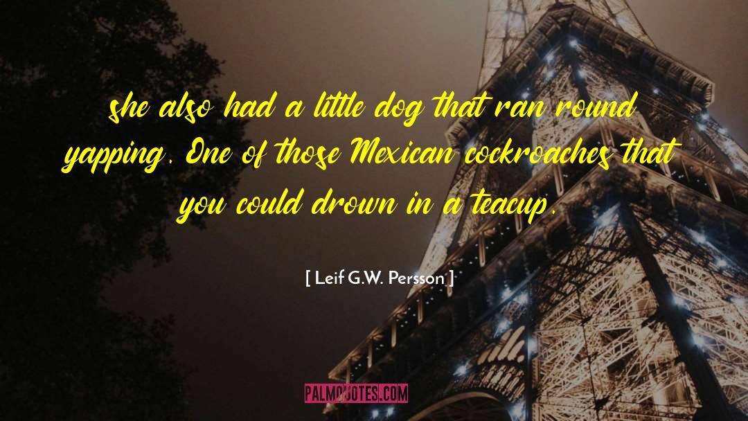 Meditz Mexican quotes by Leif G.W. Persson