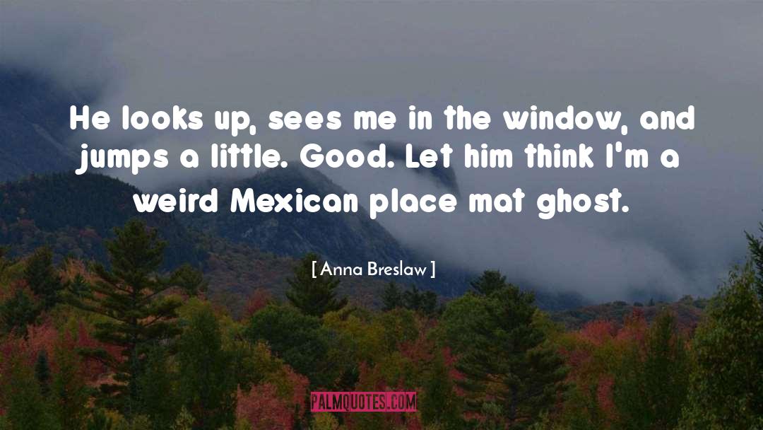 Meditz Mexican quotes by Anna Breslaw