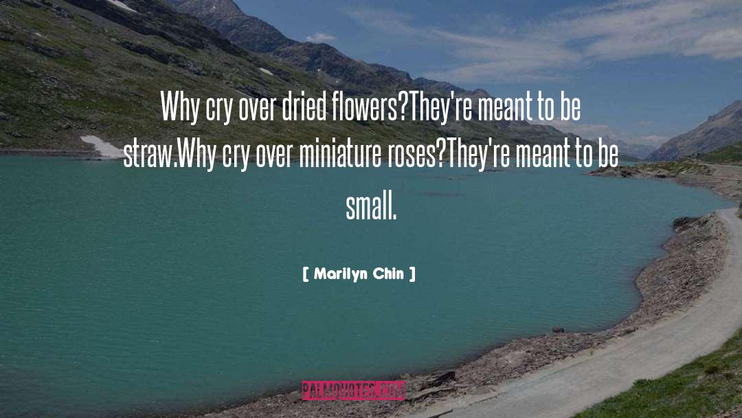 Medival Poetry quotes by Marilyn Chin