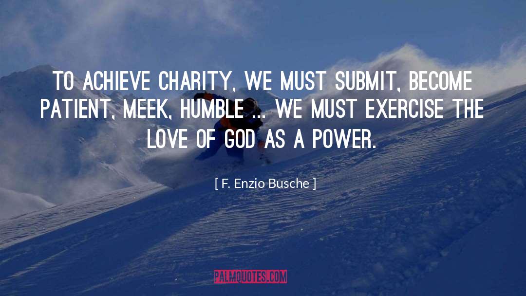 Meek quotes by F. Enzio Busche