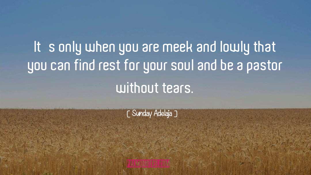 Meekness quotes by Sunday Adelaja