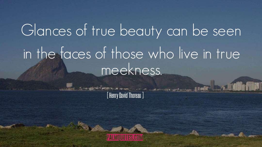 Meekness quotes by Henry David Thoreau