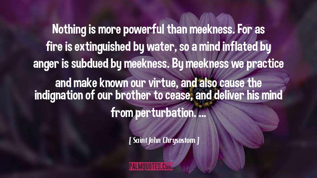 Meekness quotes by Saint John Chrysostom