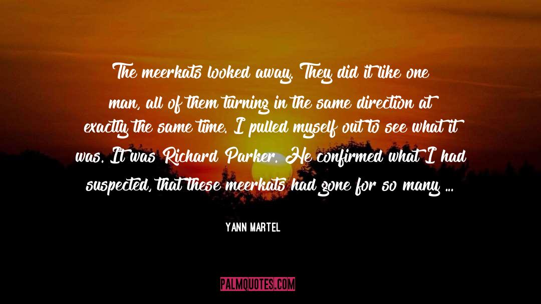Meerkats quotes by Yann Martel