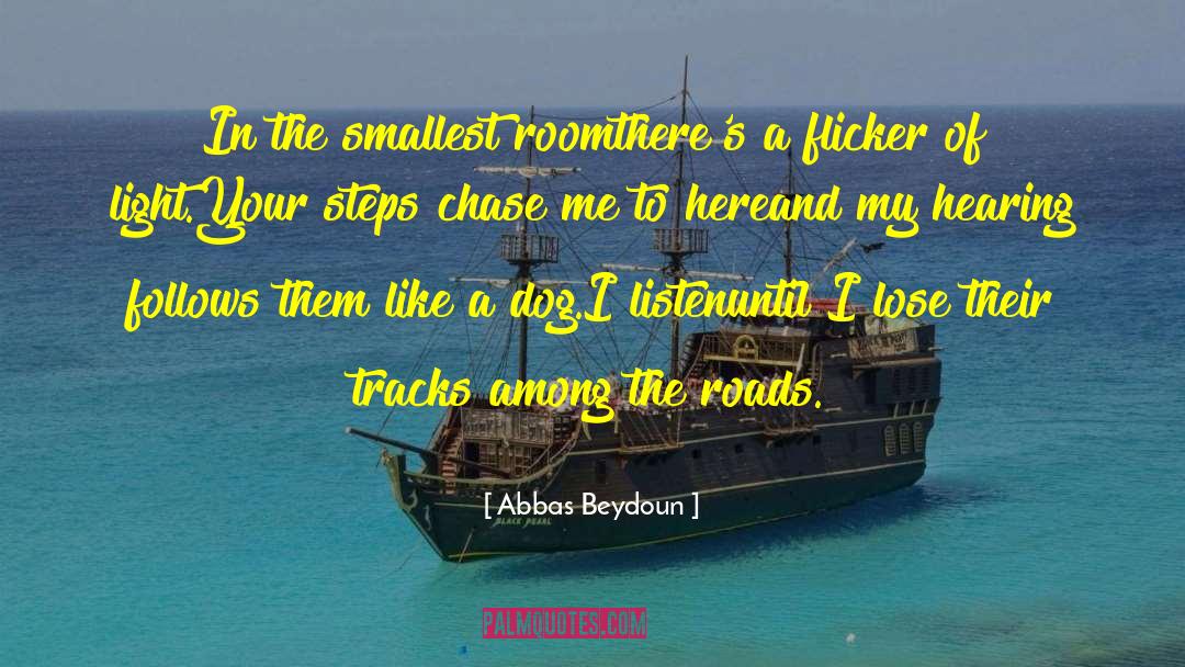 Meesam Abbas quotes by Abbas Beydoun