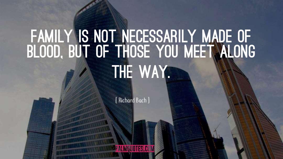 Meet quotes by Richard Bach