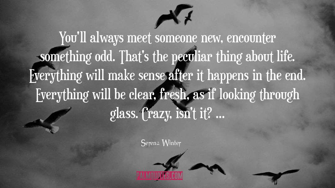 Meet Someone quotes by Serena Winter