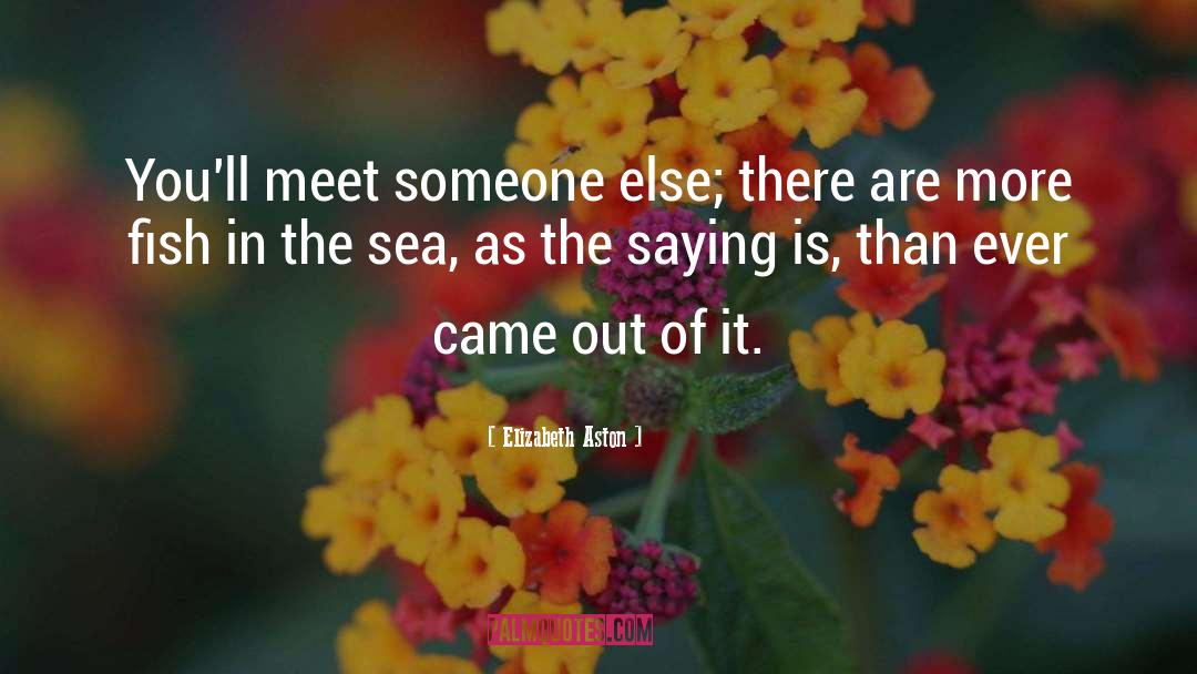 Meet Someone quotes by Elizabeth Aston