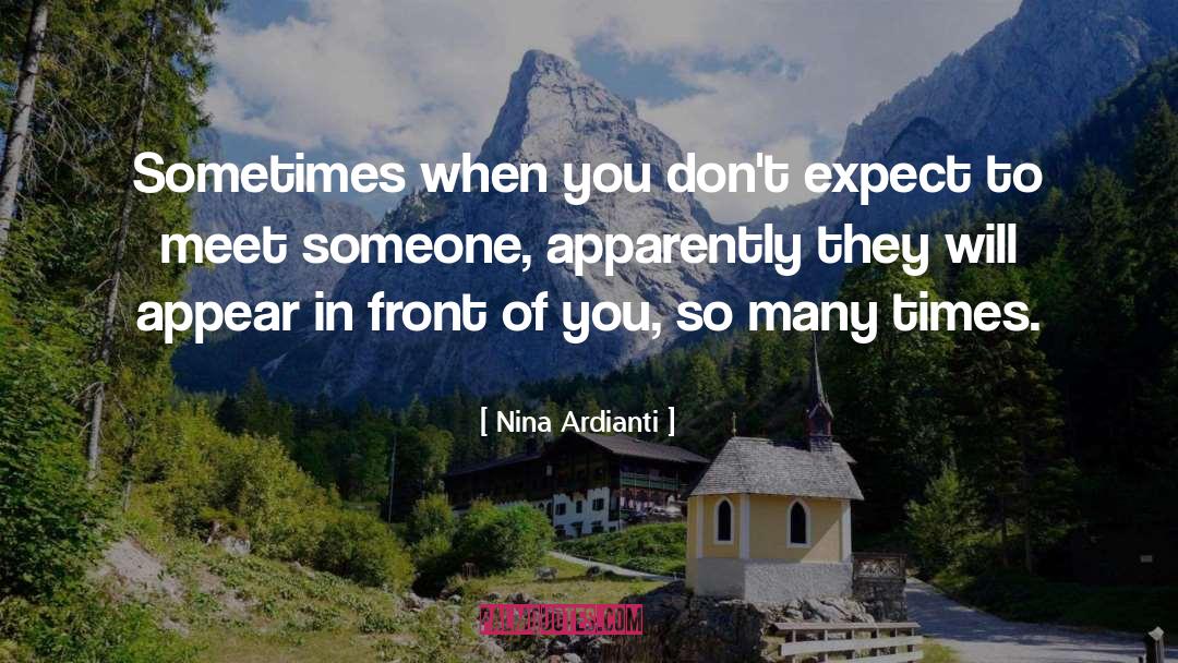 Meet Someone quotes by Nina Ardianti