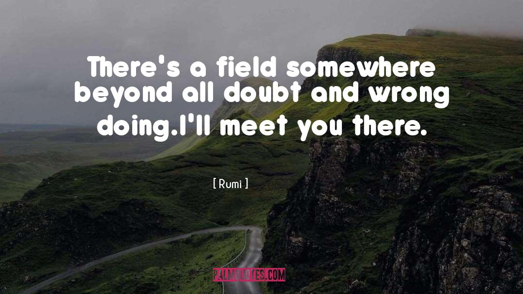 Meet You There quotes by Rumi