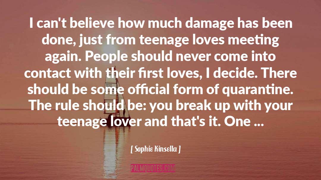 Meeting Again quotes by Sophie Kinsella