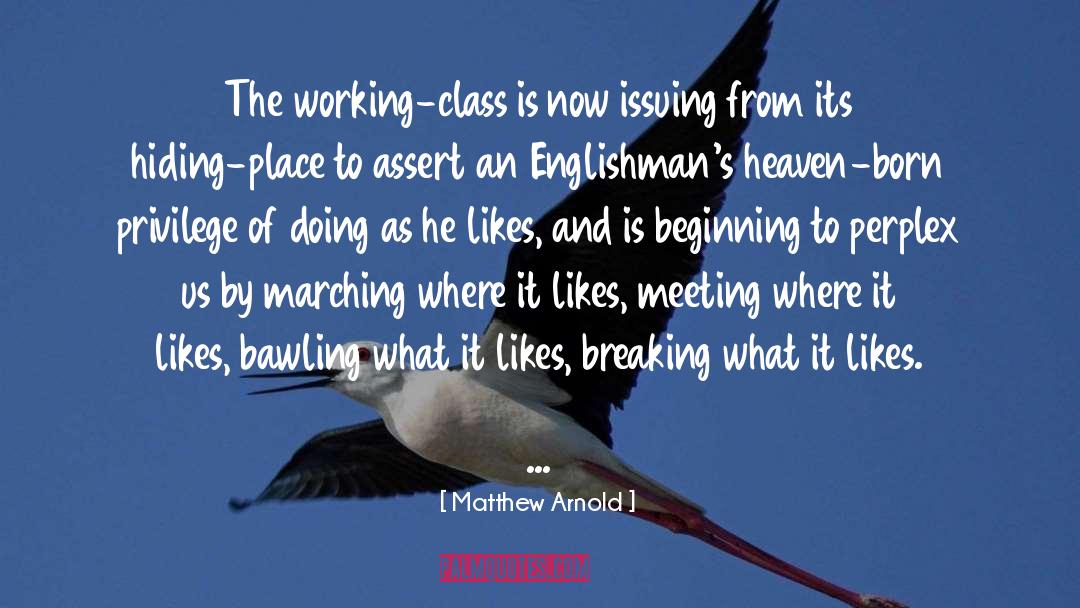 Meeting Challenges quotes by Matthew Arnold