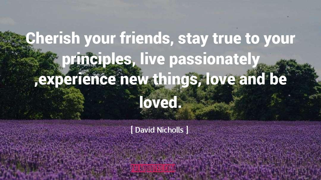 Meeting New Friends quotes by David Nicholls