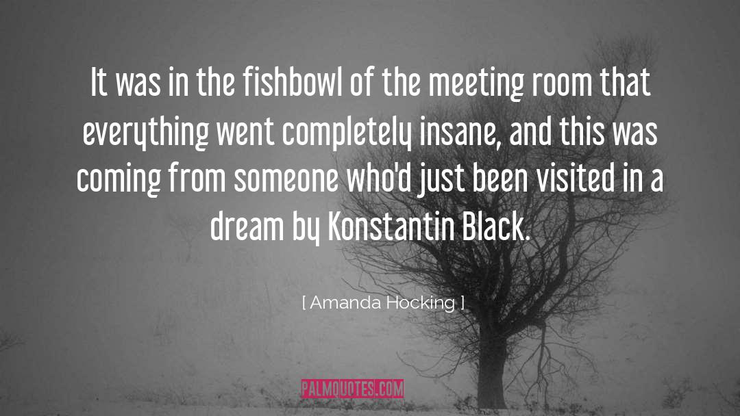 Meeting Room quotes by Amanda Hocking
