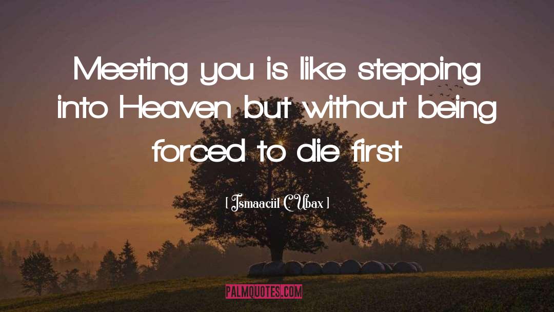 Meeting Your Loved Ones In Heaven quotes by Ismaaciil C. Ubax