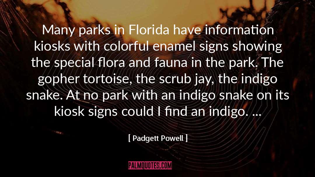 Mega Fauna quotes by Padgett Powell