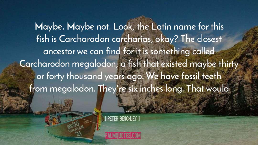 Megalodon quotes by Peter Benchley