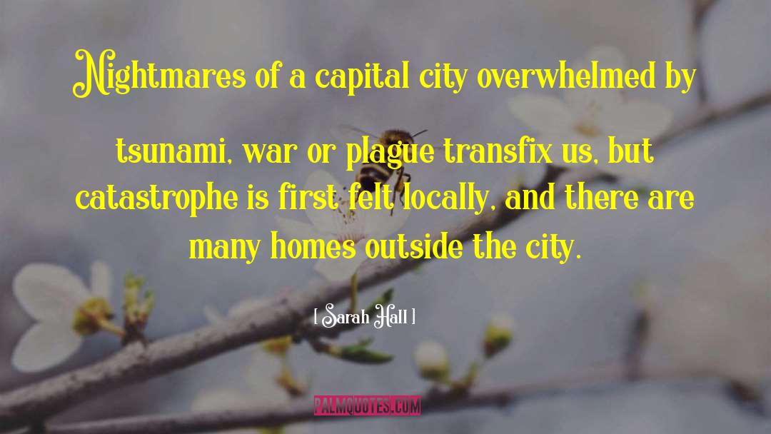 Mehdia City quotes by Sarah Hall