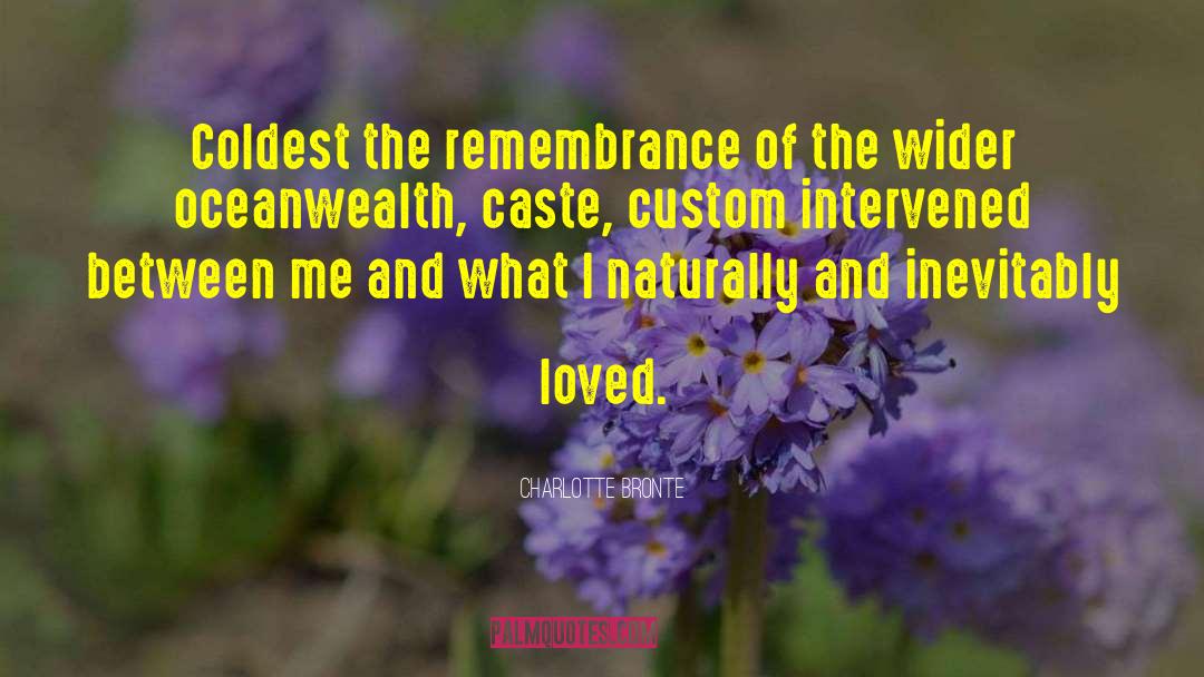 Mehtar Caste quotes by Charlotte Bronte