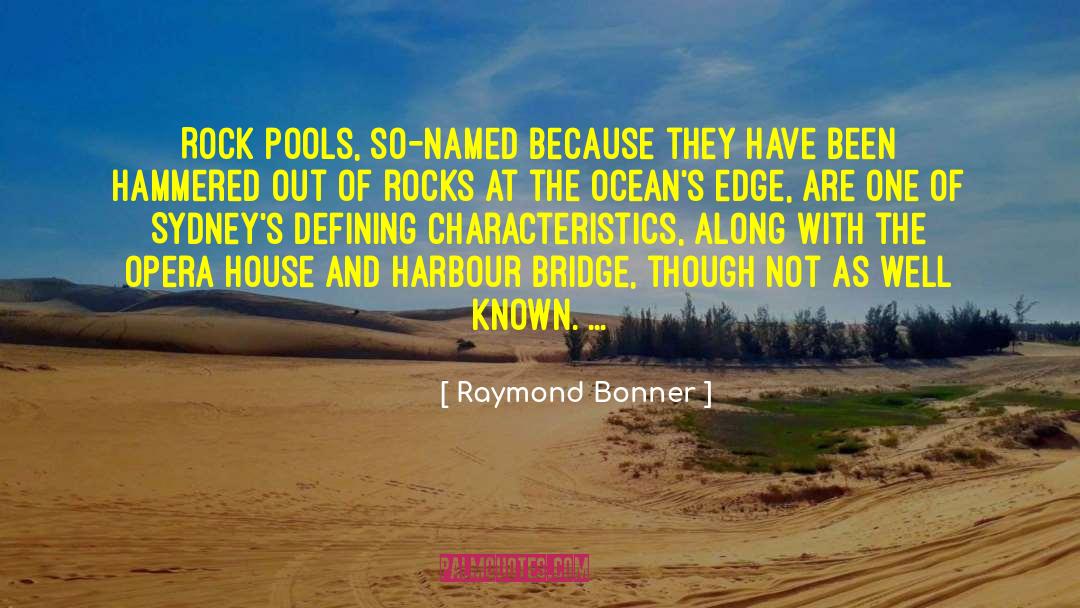Meiers Pools quotes by Raymond Bonner