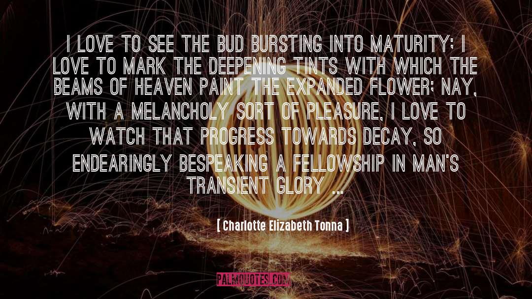 Melancholy quotes by Charlotte Elizabeth Tonna