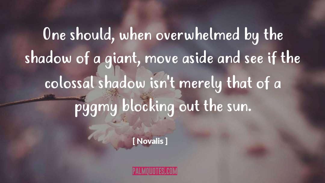 Melisandres Shadow quotes by Novalis