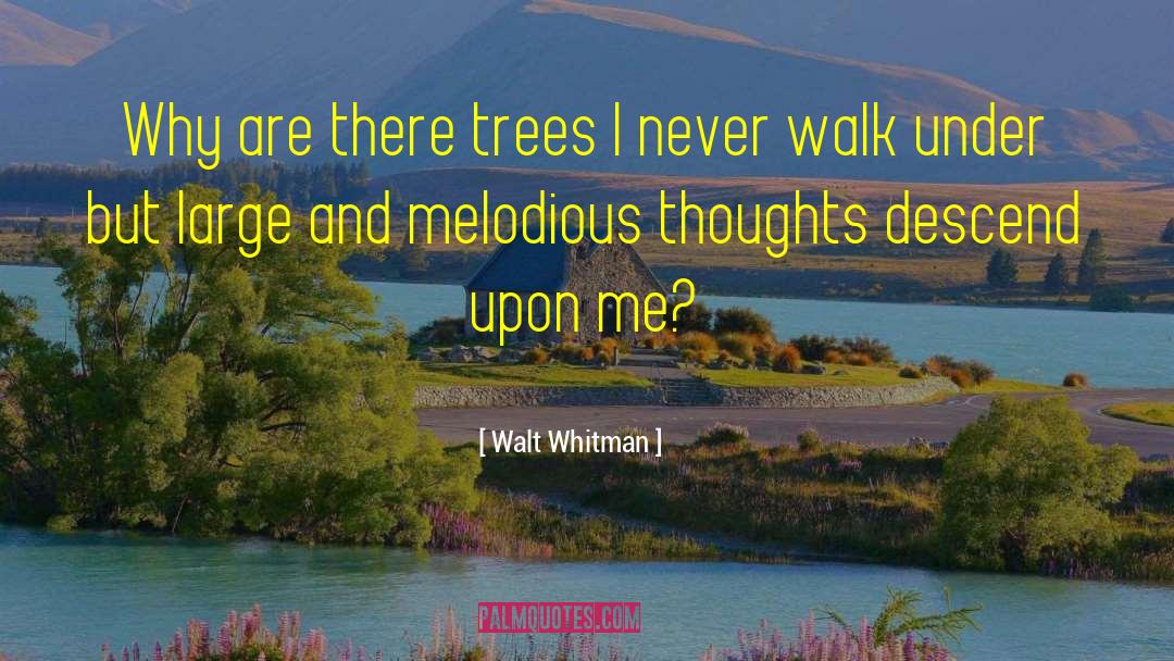 Melodious quotes by Walt Whitman