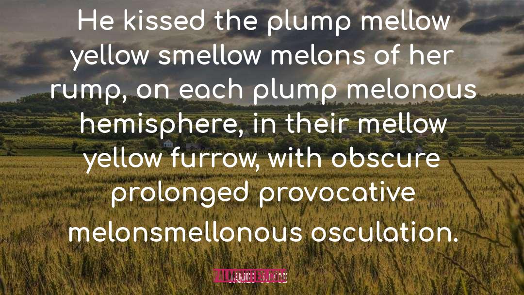 Melons quotes by James Joyce