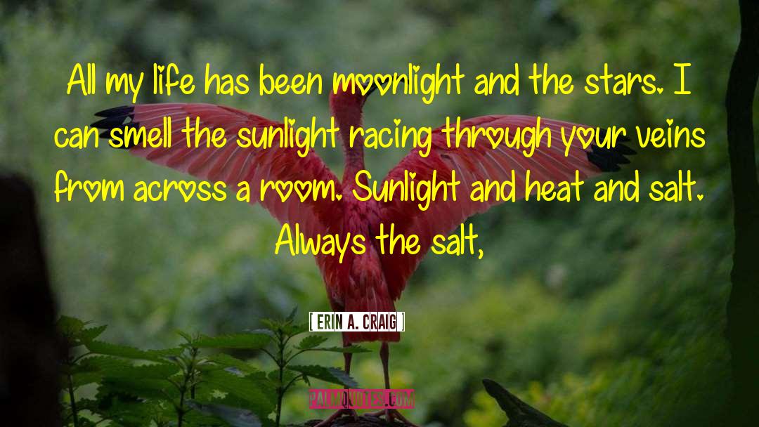 Melotti Racing quotes by Erin A. Craig