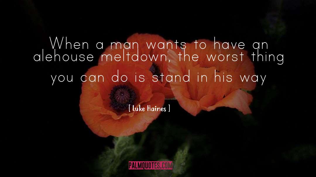 Meltdown quotes by Luke Haines