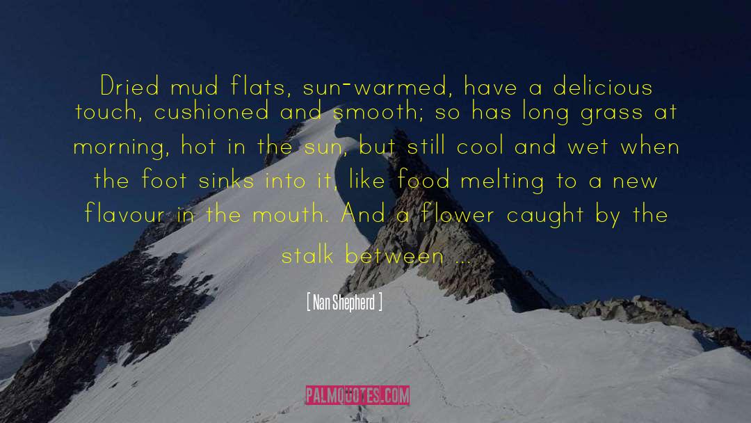 Melting Ice quotes by Nan Shepherd