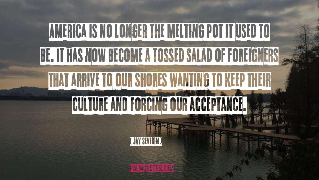 Melting Pot quotes by Jay Severin