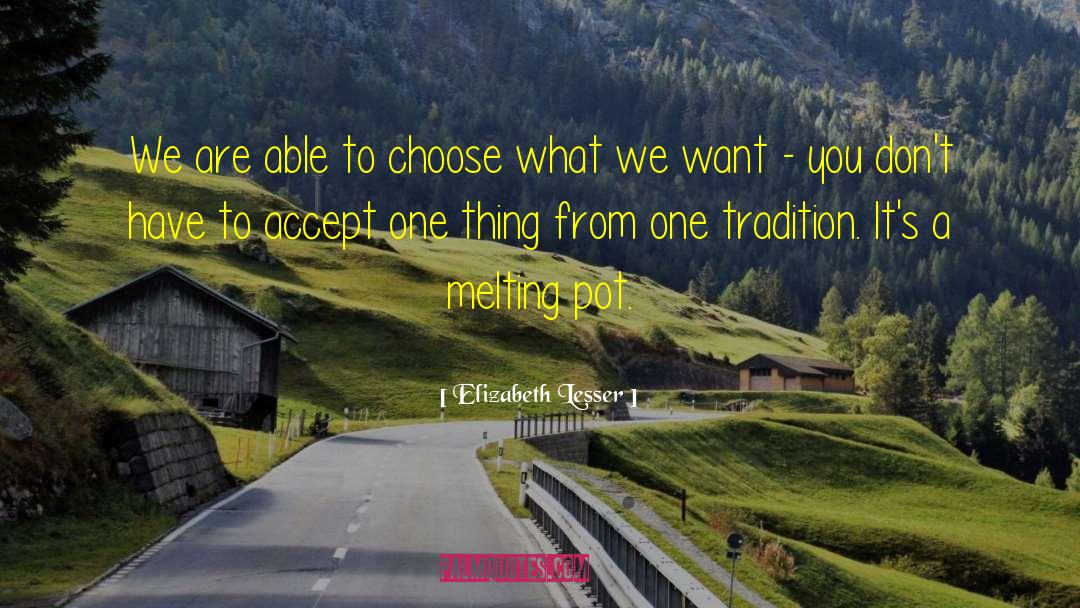 Melting Pot quotes by Elizabeth Lesser