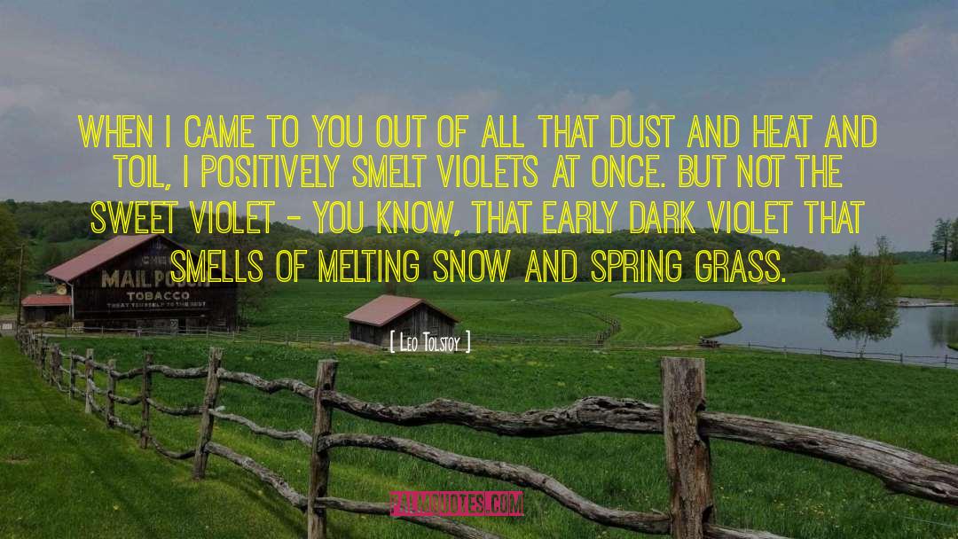 Melting Snow quotes by Leo Tolstoy